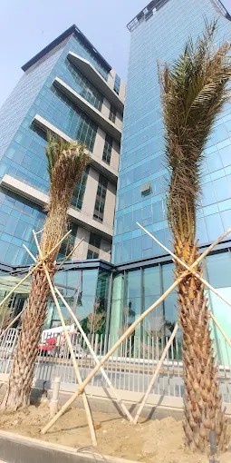 K P Towers, Noida