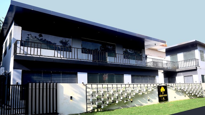 Green Gold 56, Gurugram