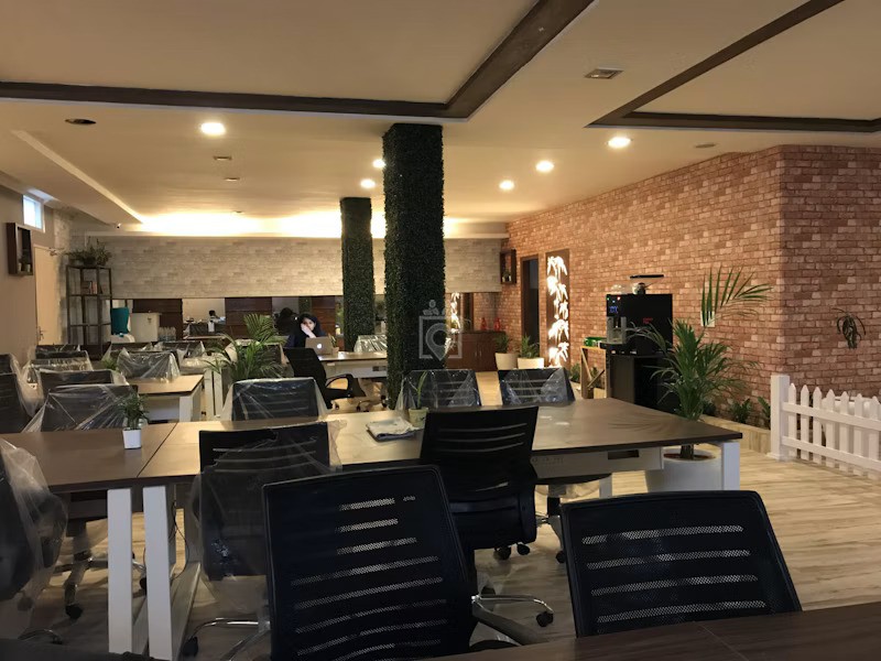 CoNexus Life, Gurugram