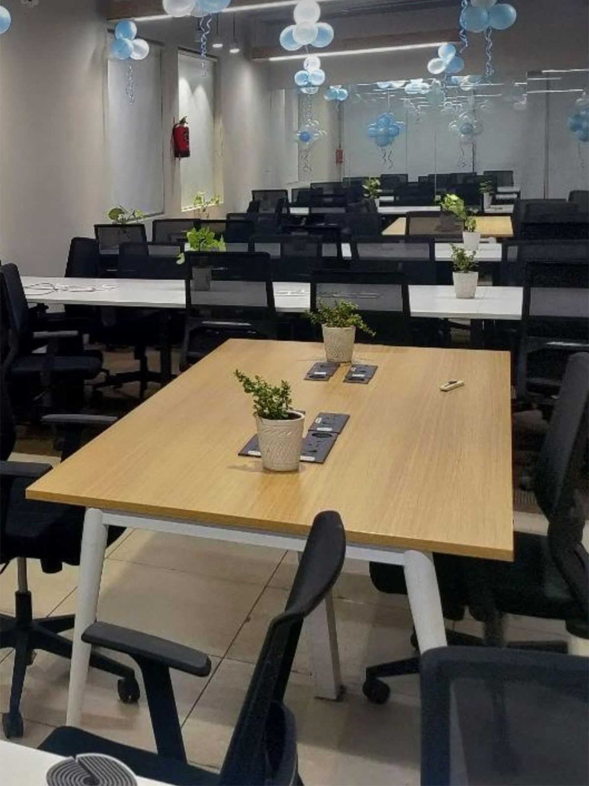 HyperFocus Business Solutions, Noida