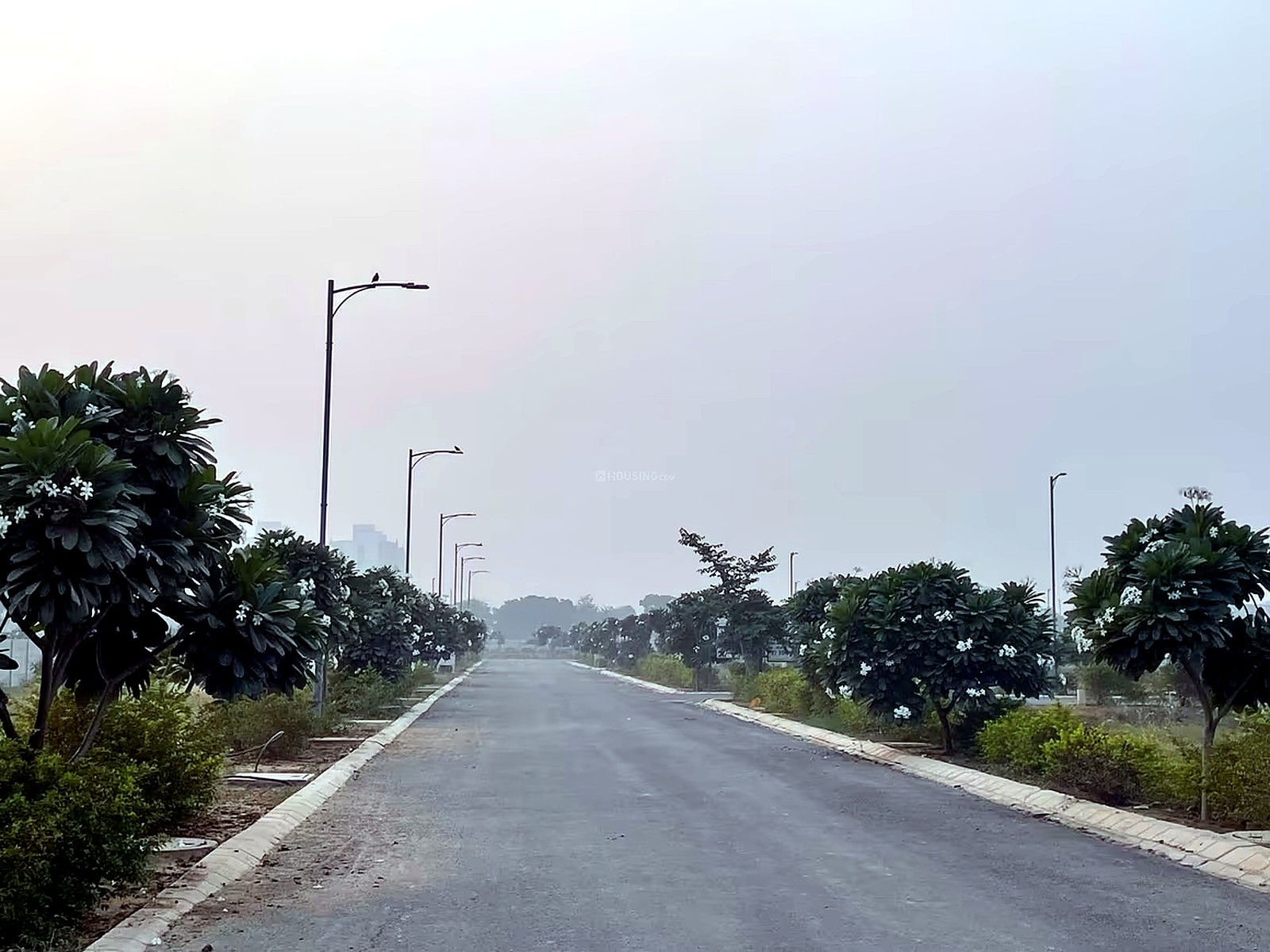 Lion Green Valley, Gurugram