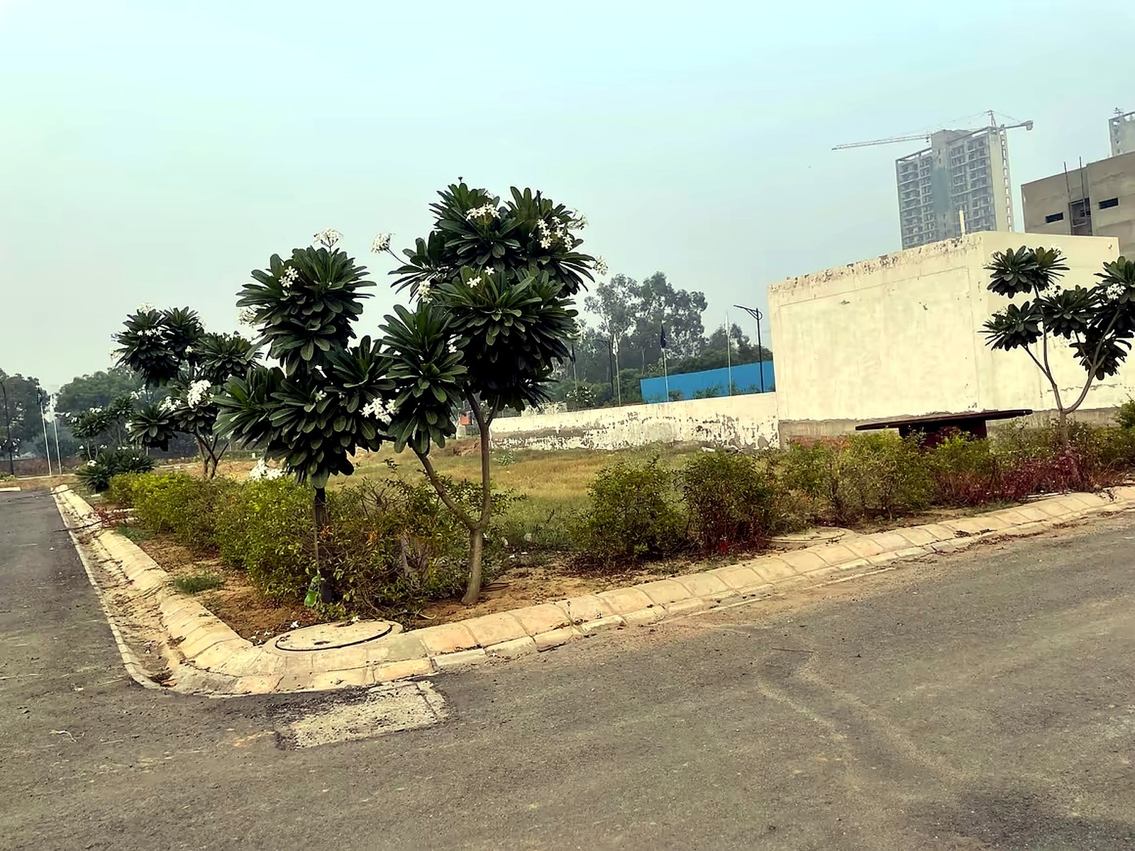 Lion Green Valley, Gurugram