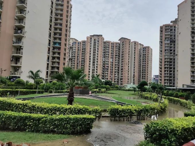Pan Oasis, Noida